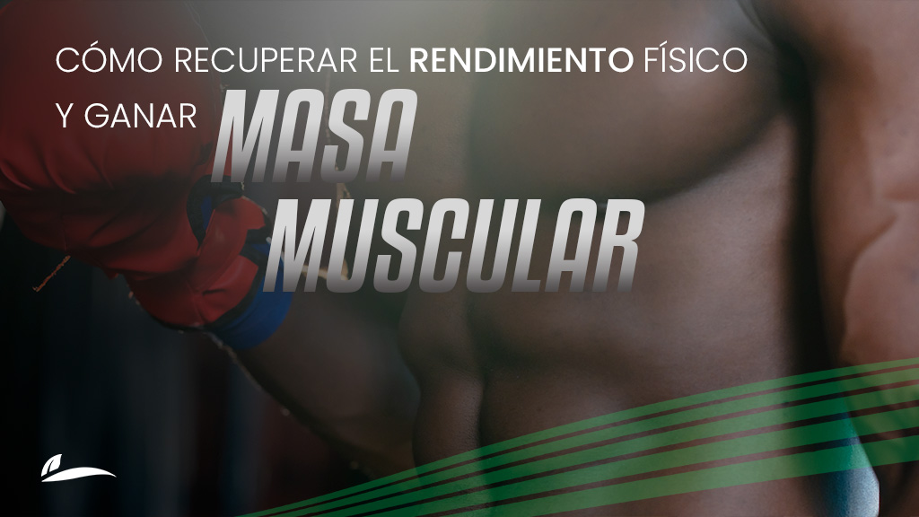 Cómo recuperar el rendimiento físico y ganar masa muscular después de los 35